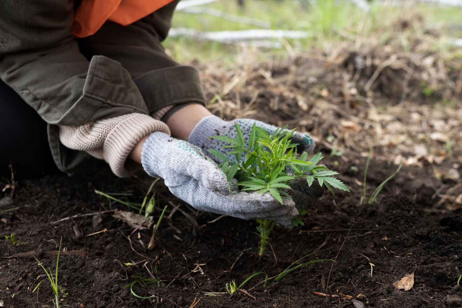 Best Tree Pruning Services  in Wellsboro, PA